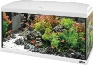 Ferplast aquarium capri 80 led